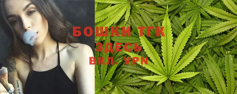 Бошки марихуана White Widow  закладка  omg зеркало  shop наркотические препараты  Змеиногорск 